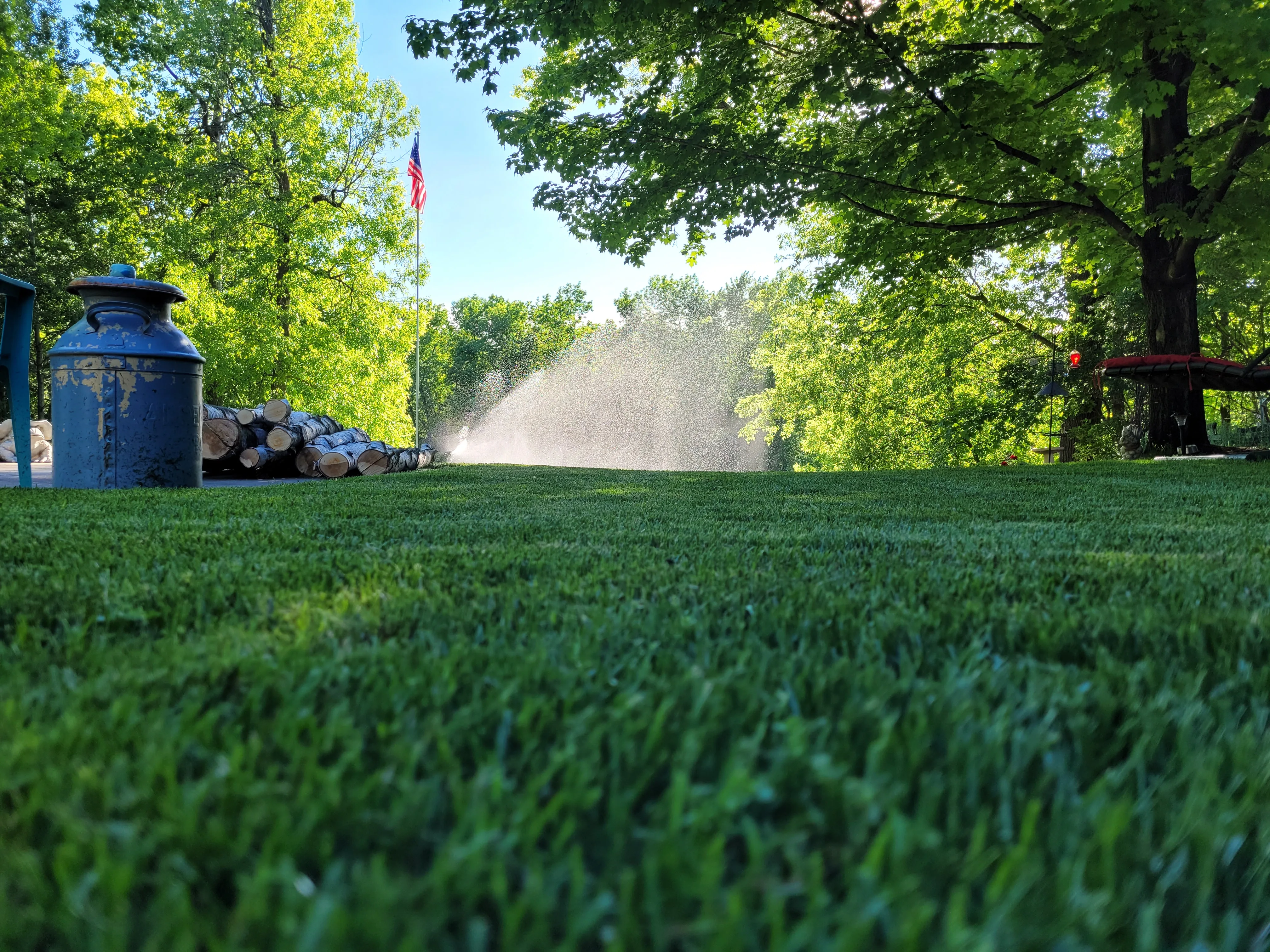 Lawn fertilizing and weed control service Shawano WI - healthy green lawn result