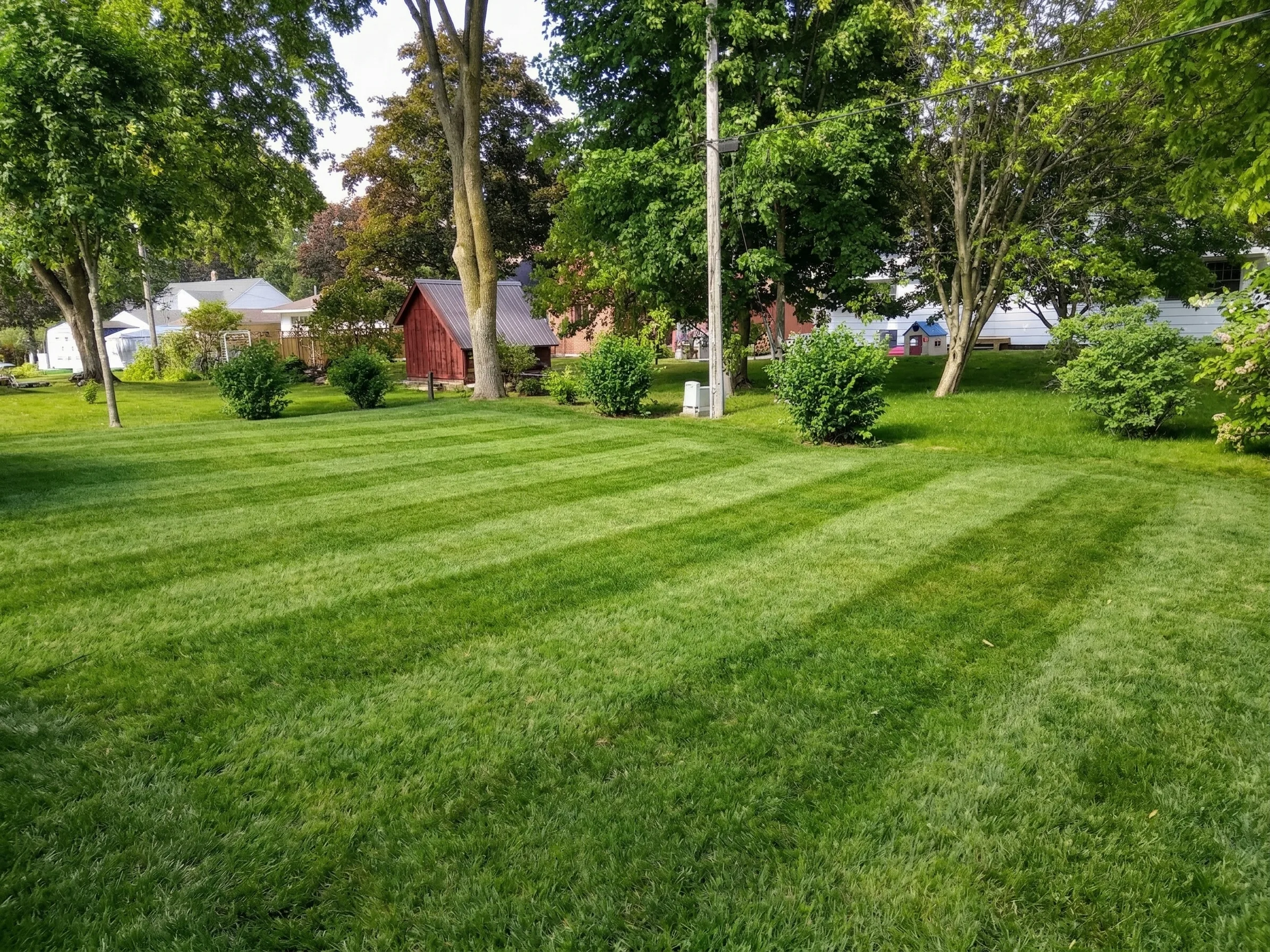 Lawn care service in Shawano WI - Advanced Green Lawn Services