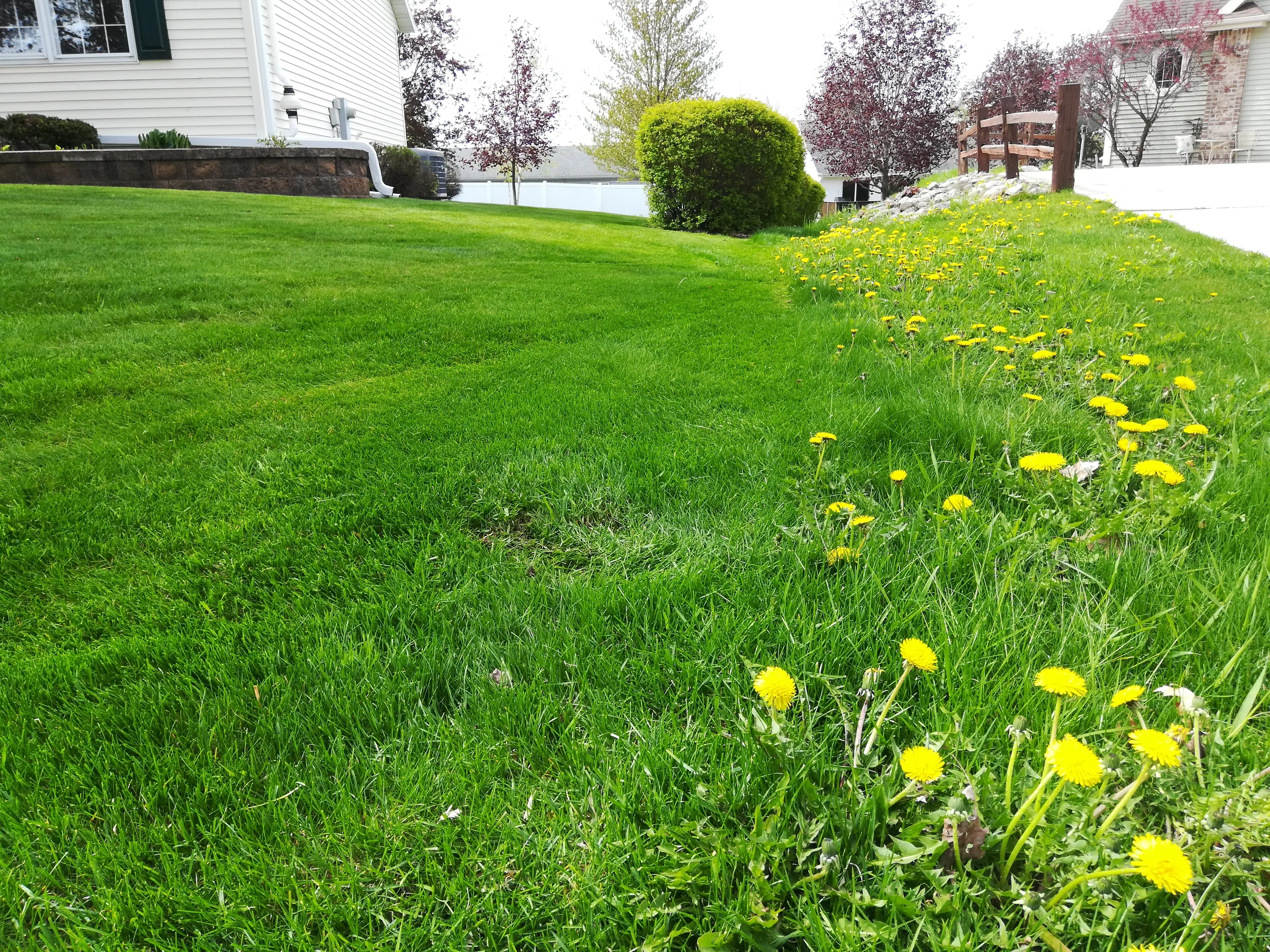Lawn fertilizing service Shawano WI - Advanced Green Lawn Services applying fertilizer treatment
