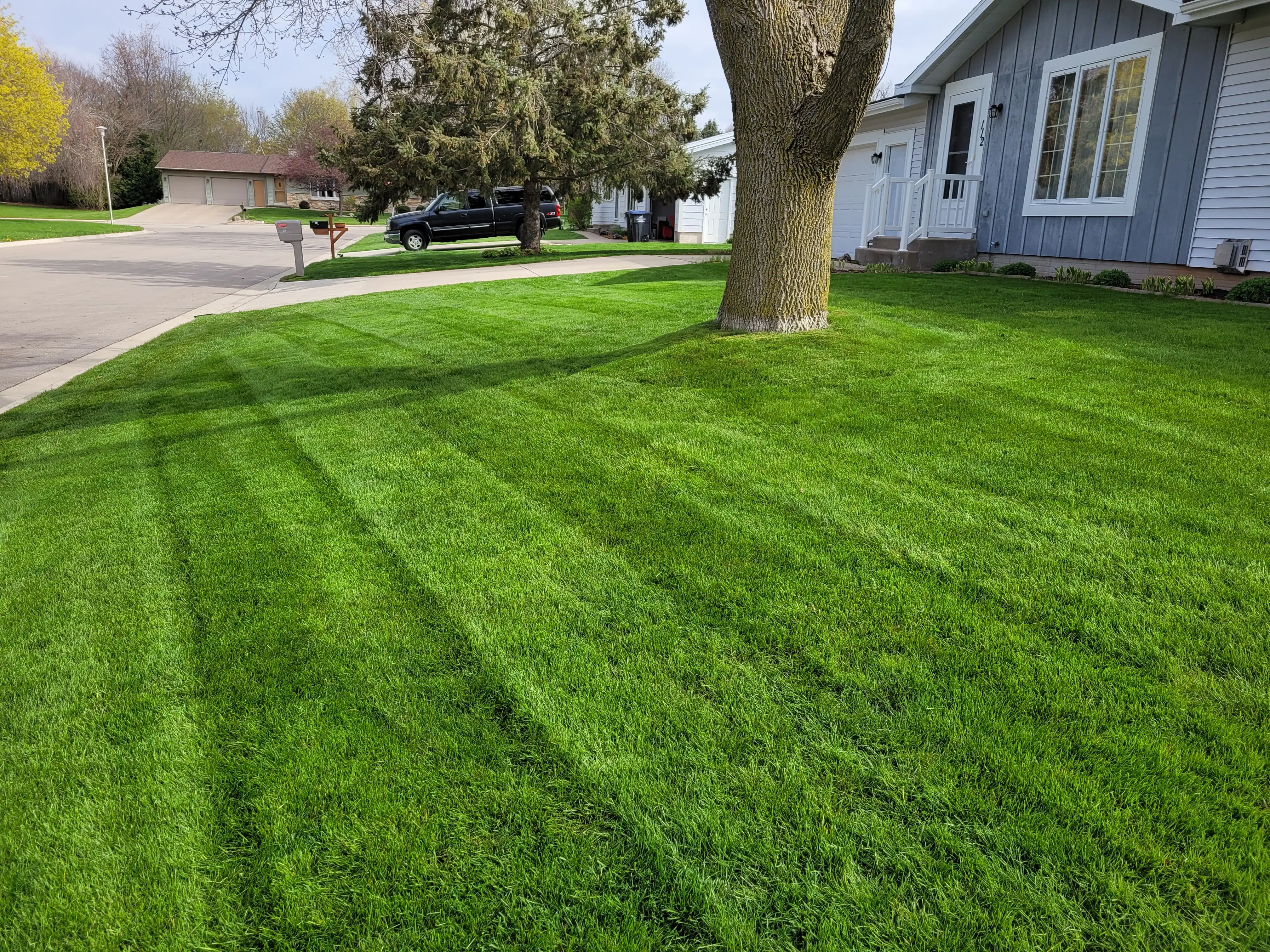 Commercial zero-turn mower striping residential lawn in Shawano County WI