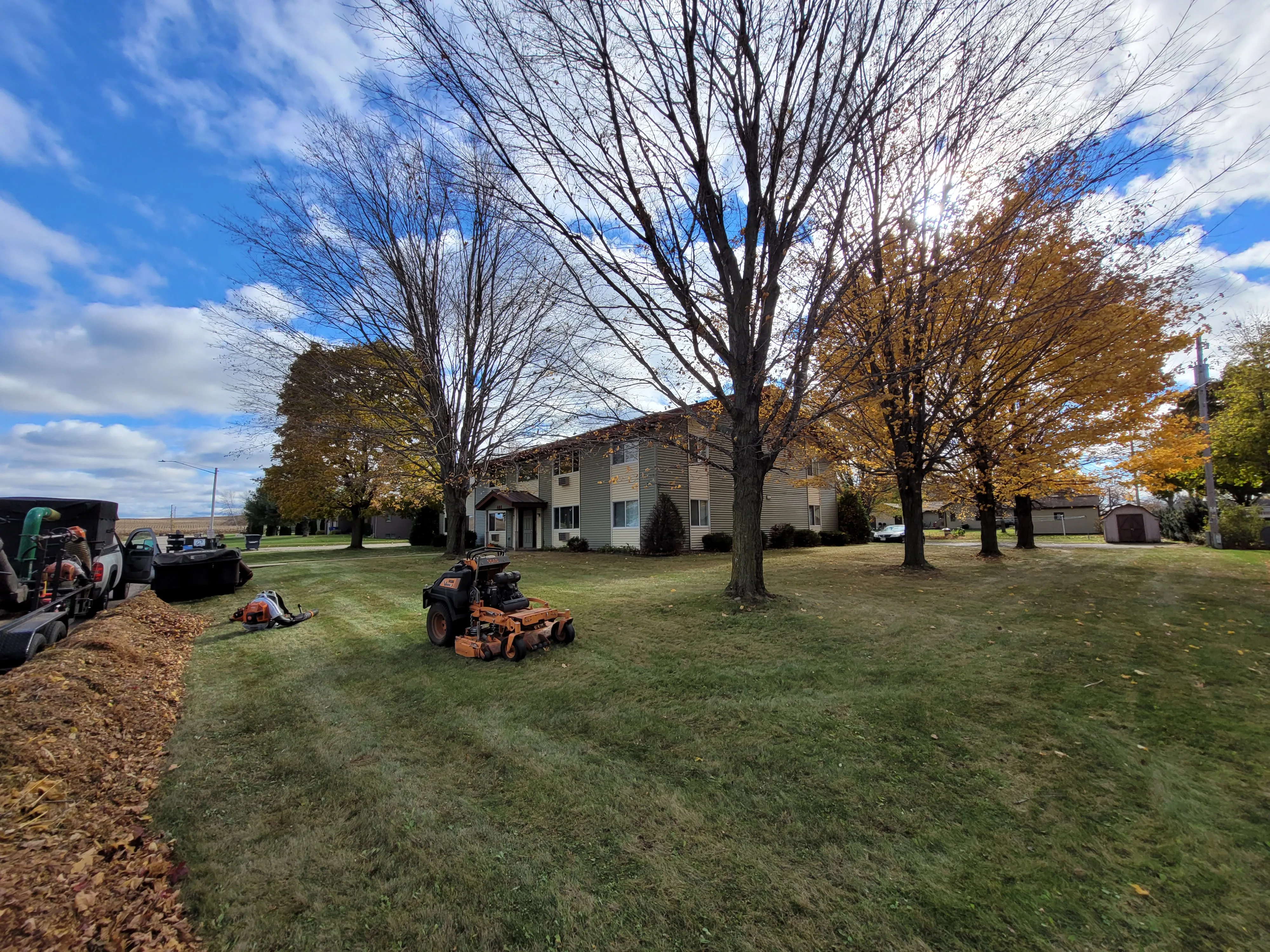 Spring leaf cleanup Shawano County WI - clearing matted leaves after Wisconsin winter